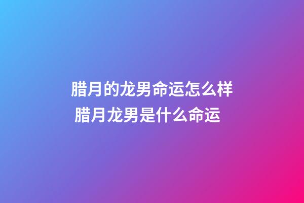 腊月的龙男命运怎么样 腊月龙男是什么命运-第1张-观点-玄机派